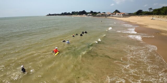 Cours de longe-côte