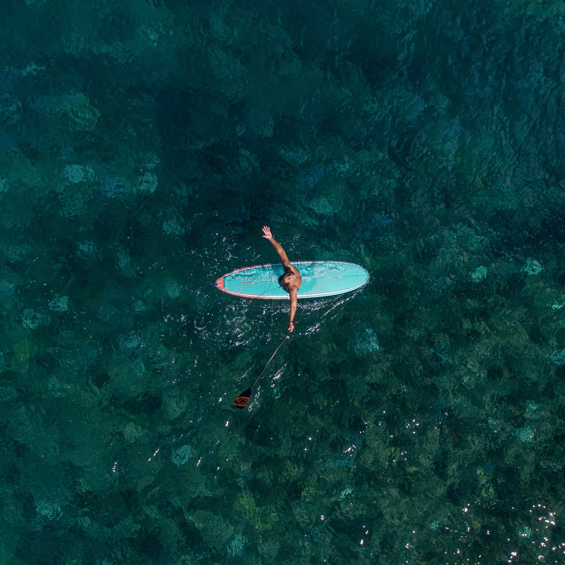 BIG PADDLE / SUP / KAYAK